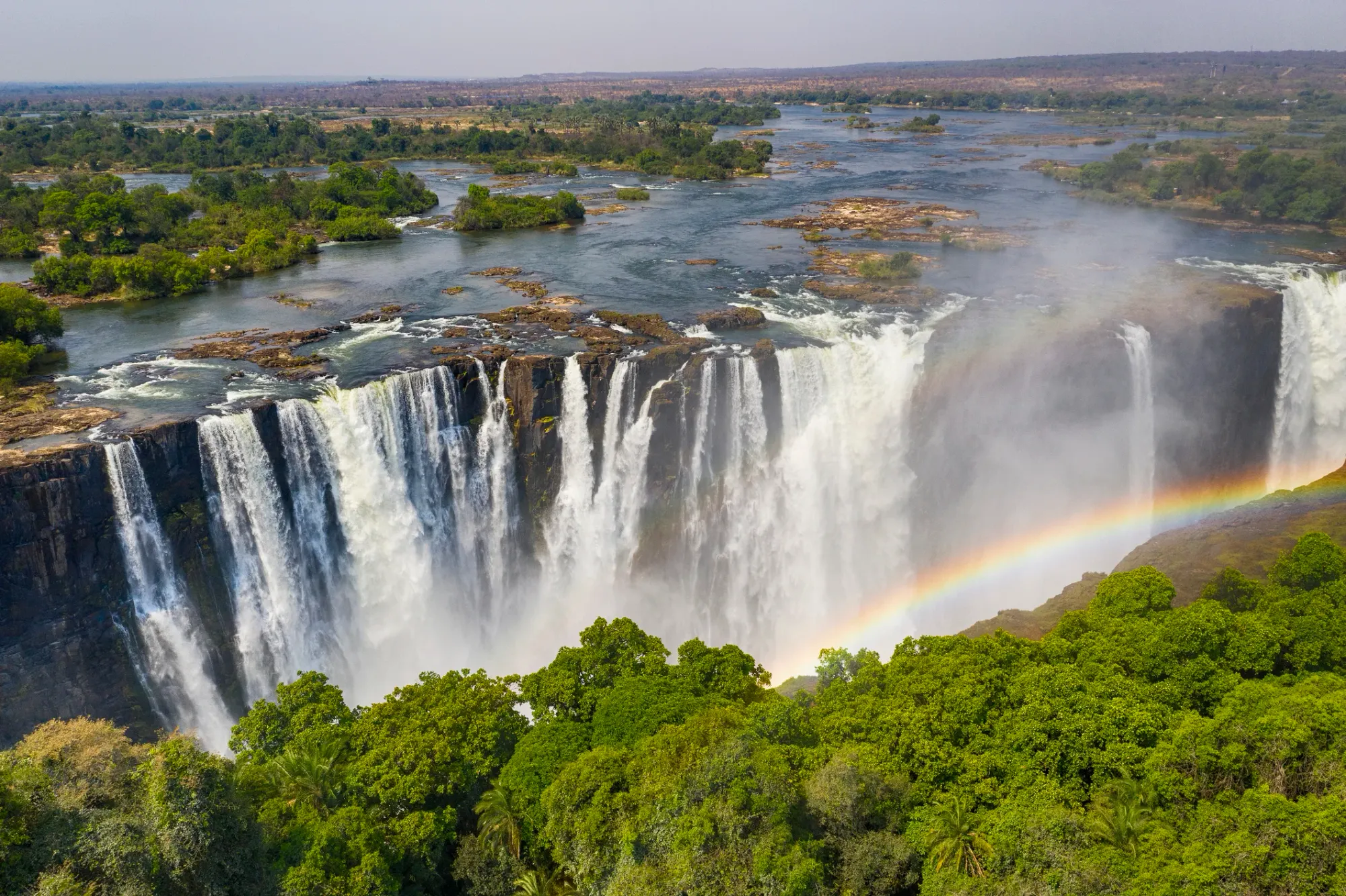 Un Safari en Namibie